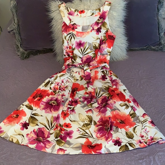 $4.99 shipping…Sleeveless Spring dress by Sandra Darren with side pockets - Picture 2 of 10